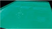 cromo-singa.webp